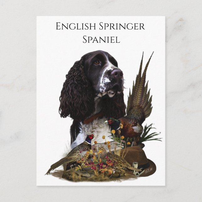 Cartão Postal Inglês Springer Spaniel com faisão (Frente)