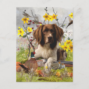 Cartão Postal Inglês Springer Spaniels, Arte