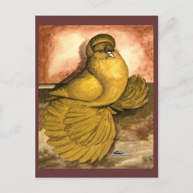 Cartão Postal Inglês Trumpeter Pigeon Yellow Self (Frente)