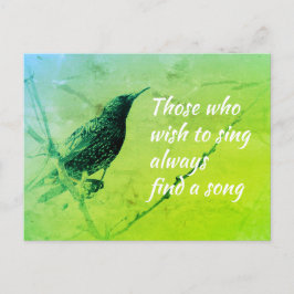 Cartão Postal Iniciando na Ramificação da Árvore em maio Canto