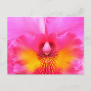 Cartão Postal Inner Beauty