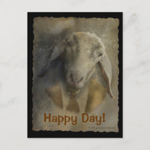 Cartão Postal Innervosismo - Postard Modelo