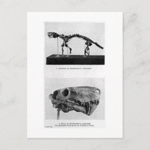 Cartão postal Inostrancevia alexandri art