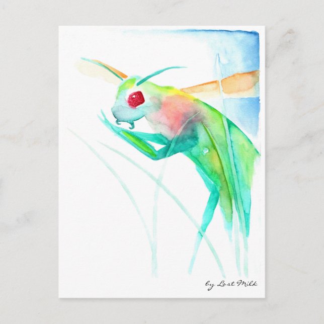 Cartão Postal Insecto louva-a-deus em Aquarellfarben (Frente)