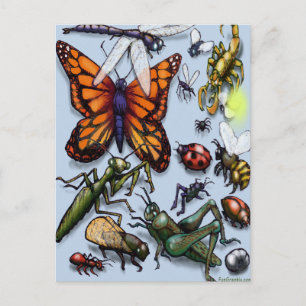 Cartão Postal Insetos