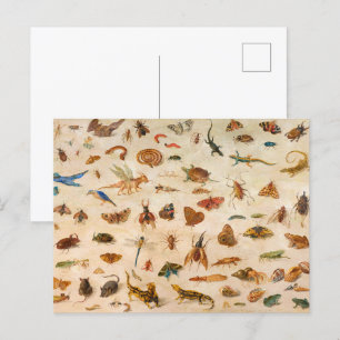 Cartão Postal Insetos, Anfíbios e Conchas de Jan van Kessel