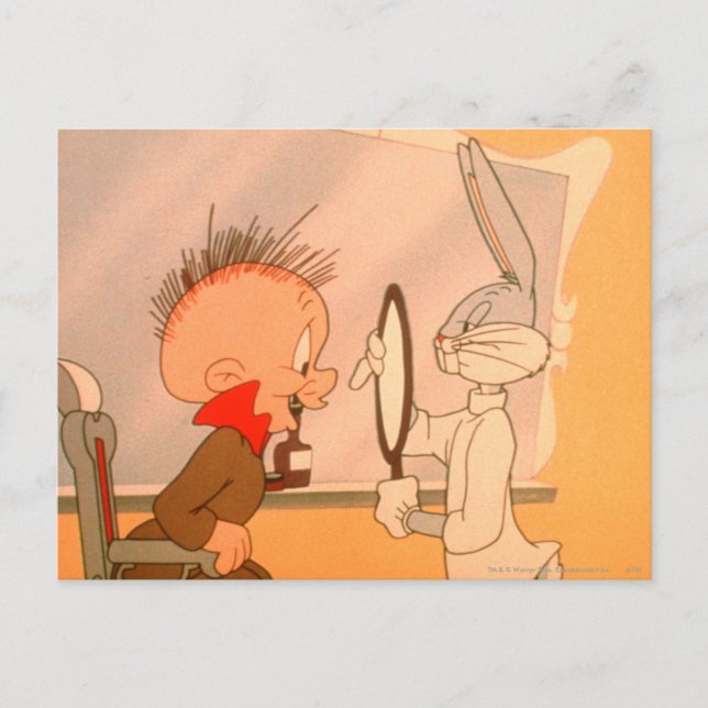 Cartão Postal INSETOS BUNNY™ e ELMER FUDD™ 2 (Frente)