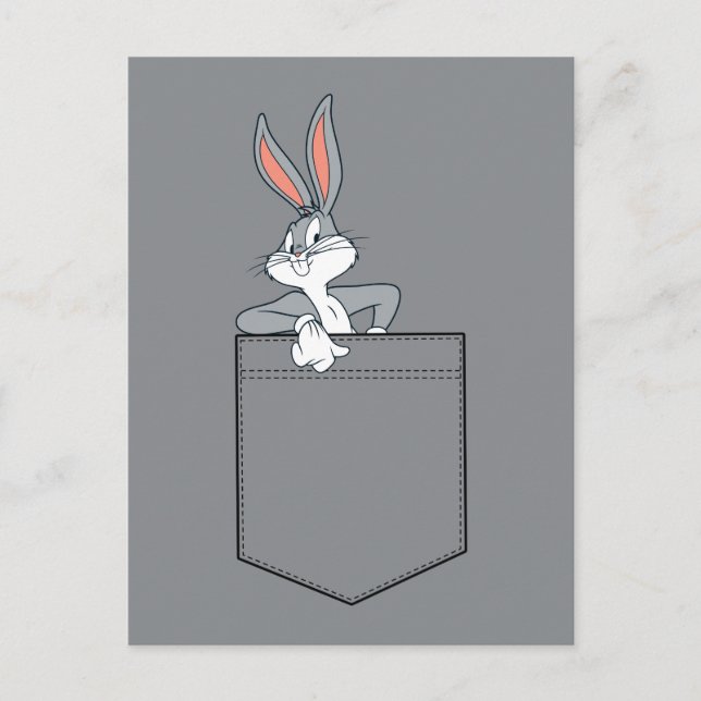 Cartão Postal INSETOS BUNNY™ Saindo No Bolso (Frente)