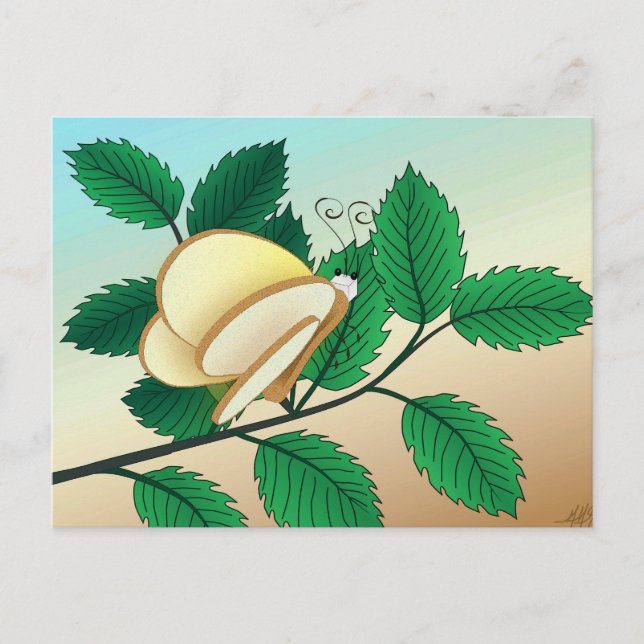 Cartão Postal Insetos do Espelho - Pão e Borboleta (Frente)