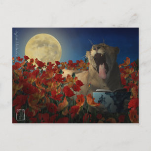 Cartão Postal Insônia