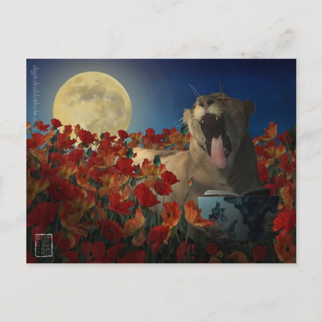 Cartão Postal Insônia (Frente)