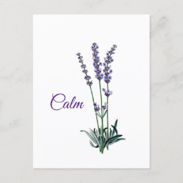 Cartão Postal Inspiração de Calma da lavanda