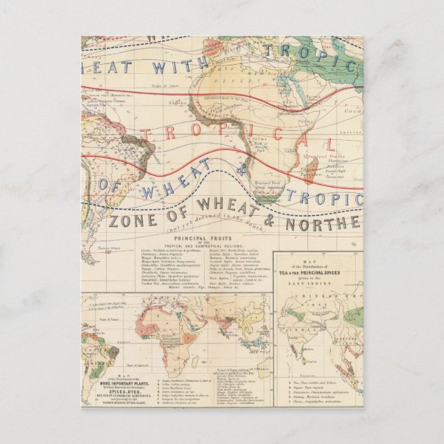 Cartão Postal Instalações de distribuição (Frente)