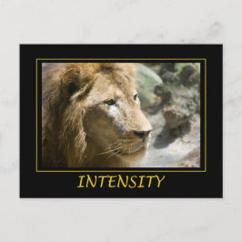 Cartão Postal Intensidade