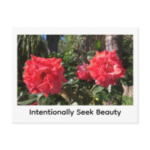 Intentionally Seek Beauty