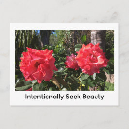 Cartão Postal Intentionally Seek Beauty