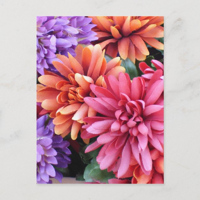 Cartão Postal Intermitências de Flor (Frente)