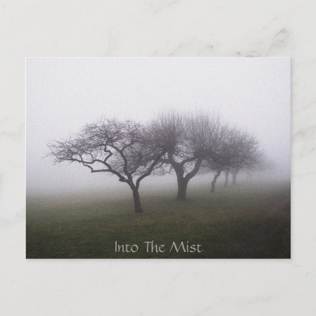 Cartão Postal Into The Mist (Frente)
