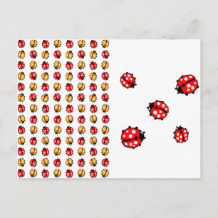 Cartão Postal Invasão de Marienkäfer