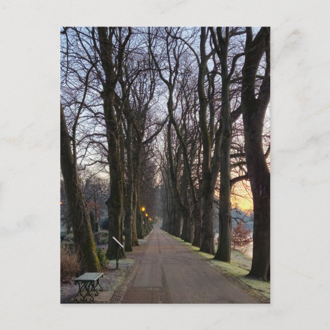 Cartão Postal Inverno (Frente)