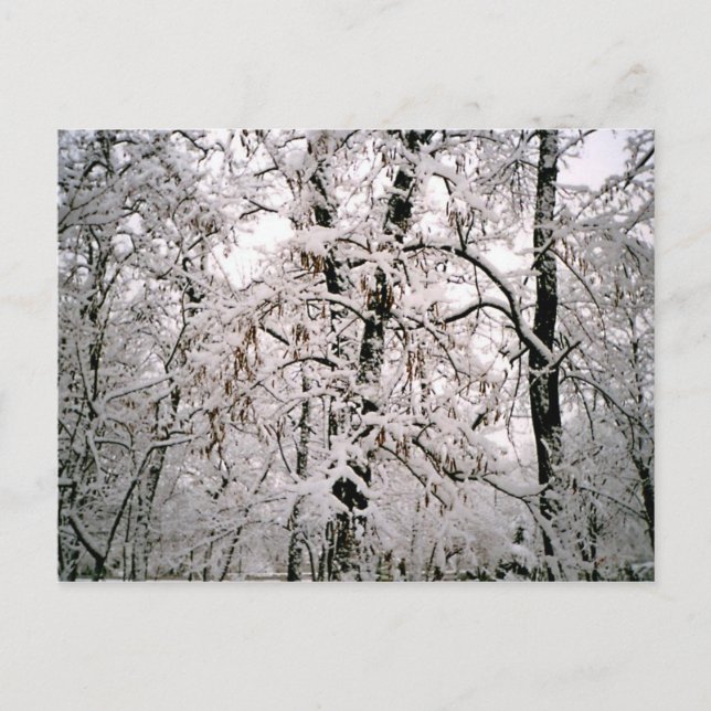 Cartão Postal Inverno (Frente)