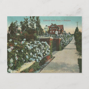 Cartão Postal Inverno Califórnia Antiga