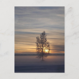 Cartão Postal Inverno em Ft. Wainwright