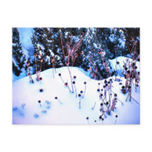 Inverno Flor de Neve