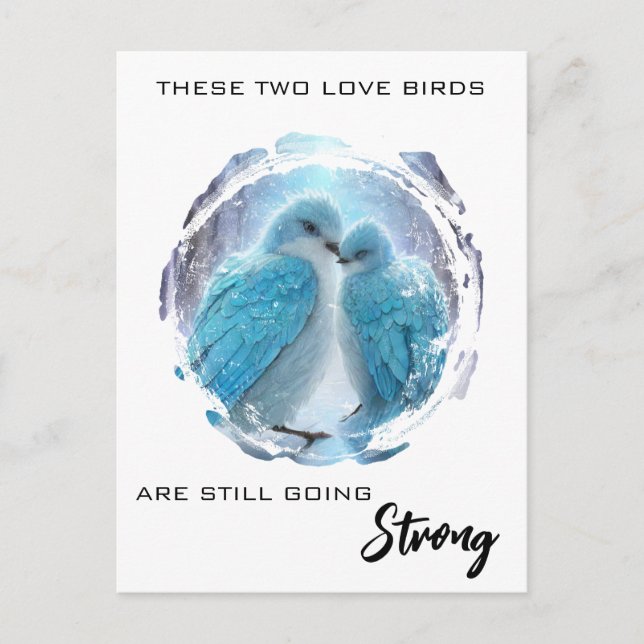 Cartão Postal *~* Inverno FOTO Amor de Pássaros AP54 Aniversário (Frente)