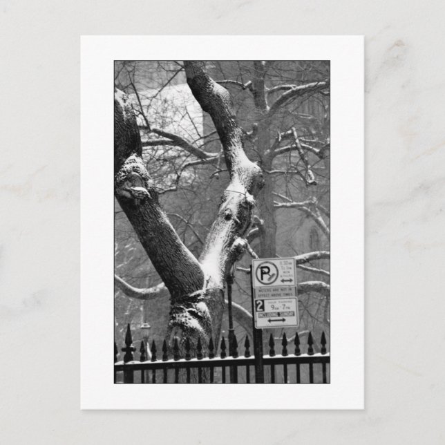 Cartão postal "Inverno na Cidade" (Frente)