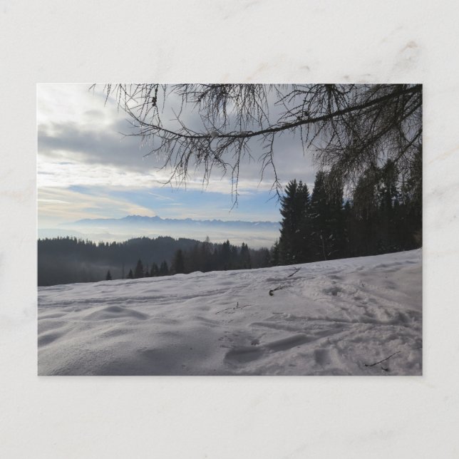 Cartão Postal Inverno nas montanhas Gorce (Frente)