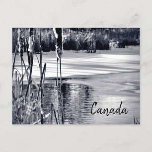 Cartão Postal Inverno neve sombra preto branco Canadá Souvenir