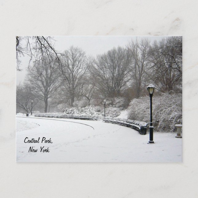 Cartão Postal Inverno no Central Park (Frente)