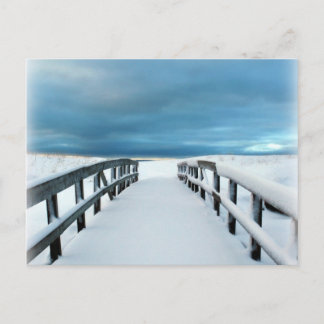 Cartão Postal Inverno tropical