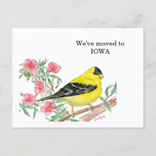 Cartão Postal Iowa