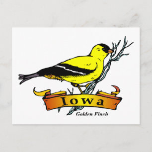 Cartão Postal Iowa Goldfinch