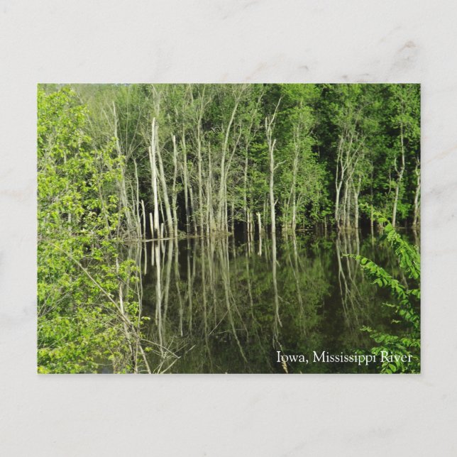 Cartão Postal Iowa no Rio Postcard (Frente)