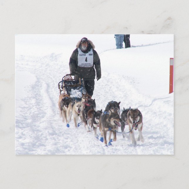 Cartão postal IPcture Perfect 2009 UP 200 (Frente)