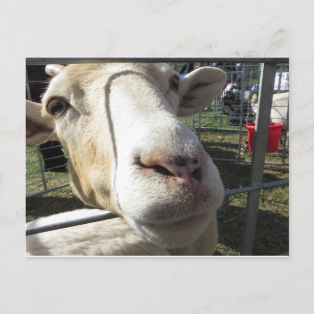 Cartão Postal Ir Fechar (Frente)