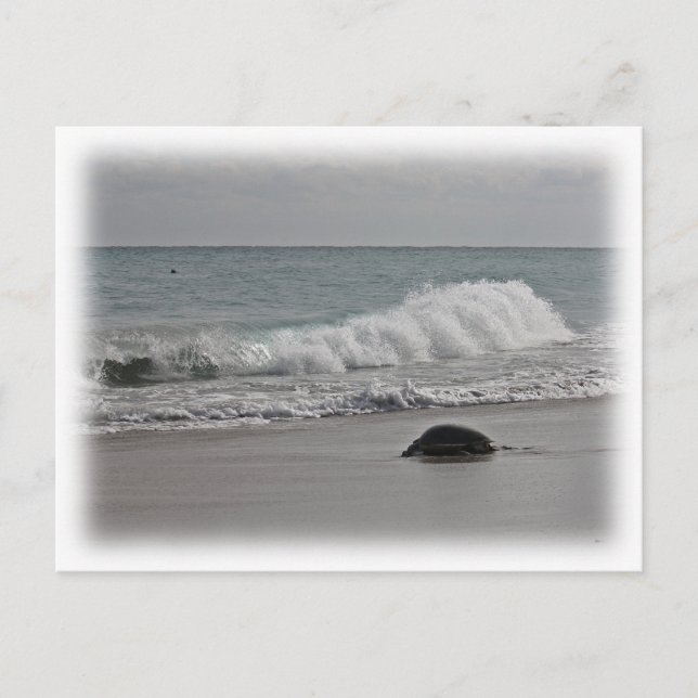 Cartão Postal Ir para casa (Frente)