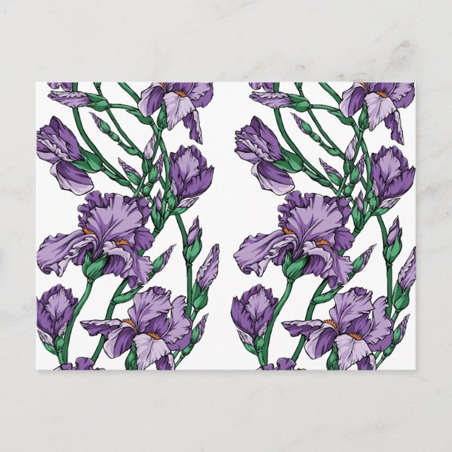 Cartão Postal Iris (Frente)