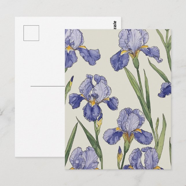 Cartão Postal Iris Azuis Desabrocham (Frente/Verso)
