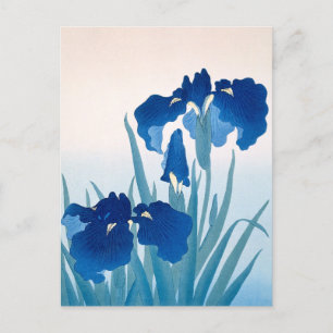Cartão Postal Íris Azul e Turquesa Obrigado