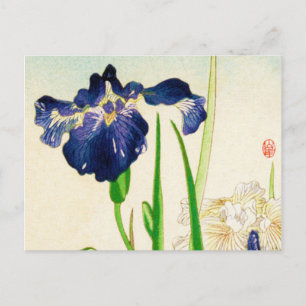Cartão Postal Íris Azul - impressão em aquarela japonesa