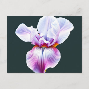 Cartão Postal Iris Bloom Elegante com Aquarela Delicada