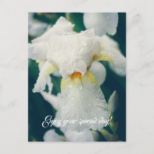 Cartão Postal Íris com gotas de água