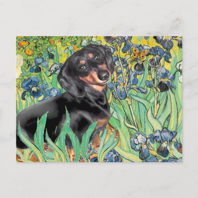 Cartão Postal Íris - Dachsund (BT4) (Frente)