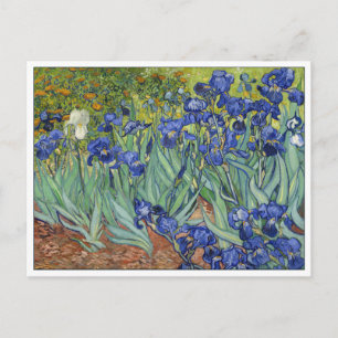 Cartão Postal Íris de Van Gogh Antiga Arte Floral Fina