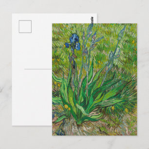 Cartão Postal Íris de Van Gogh - Arte Floral Azul Clássica