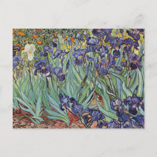 Cartão Postal Íris de Van Gogh Pintura Impressionista